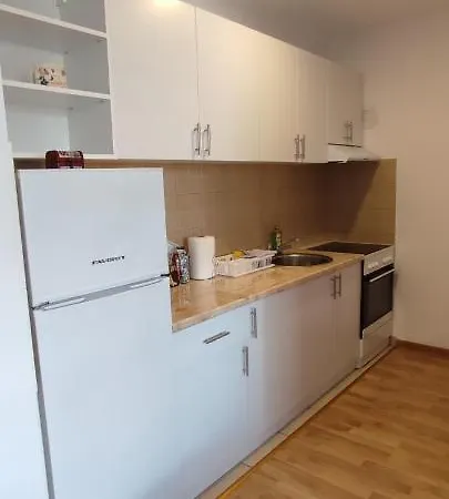Apartman Savic 公寓 *
